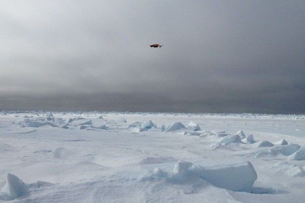 Dron sobrevolando un paisaje ártico para estudiar el cambio climático
