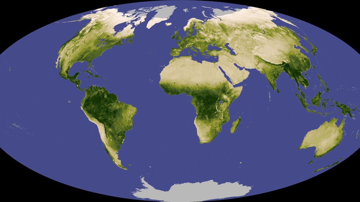 Mapa NDVI de vigor vegetal generado con drone multiespectral