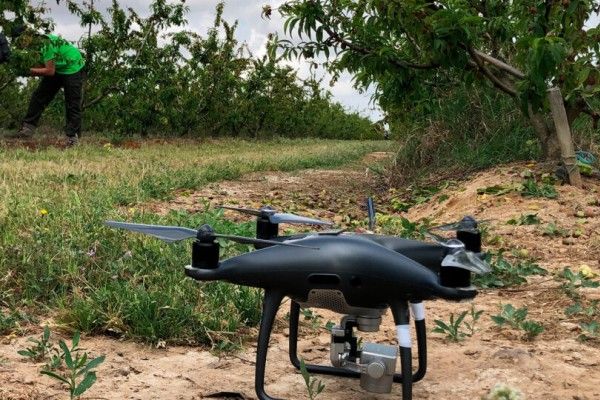 Drones y naturaleza: La batalla entre tecnología y conservación