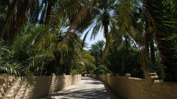 Oasis de Al Ain, Emiratos Árabes Unidos: desierto para volar drones con autorización