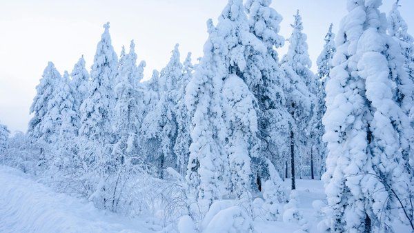 Laponia finlandesa: espacio abierto para volar drones