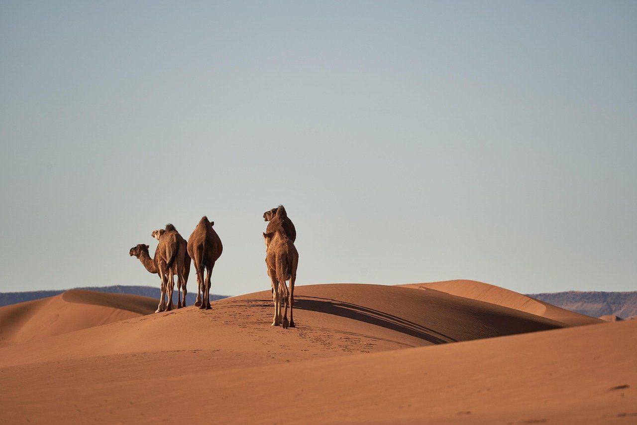Desierto del Sahara en Marruecos: los drones estan prohibidos y se confiscan en la aduana