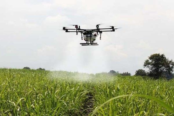 Tratamientos aéreos con drones y productos Fitosanitarios: Requisitos y normativas