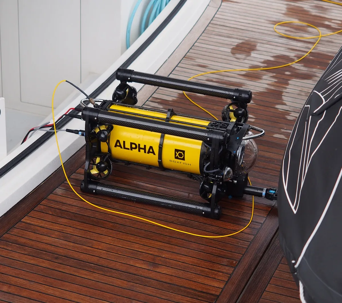 Boxfish Alpha — Boxfish · web oficial