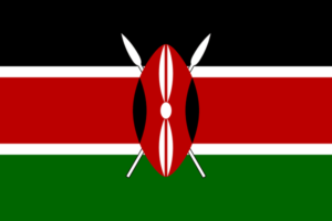 Normativa drones Kenia. ¿Cómo volar un Dron en Nairobi?