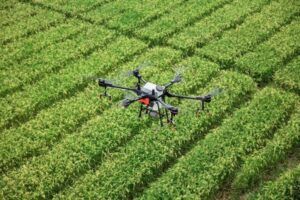 Dron pulverizando un cultivo en un tratamiento fitosanitario