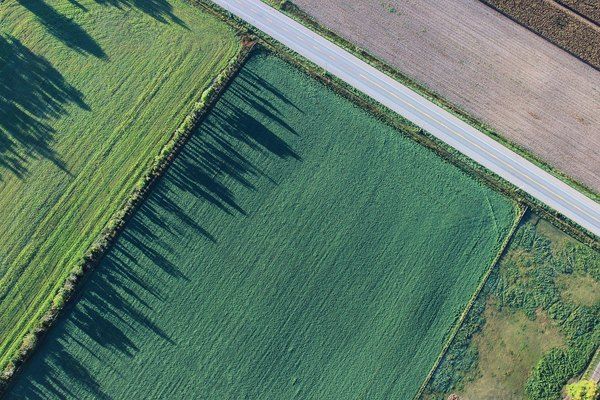 Fotogrametria con dron: vista aerea de parcelas